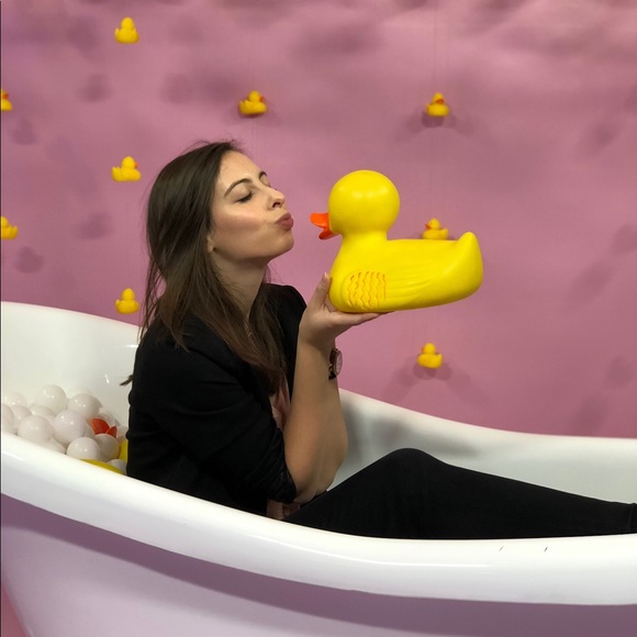 Meet your Posher, Sadie - Picture 1 of 1